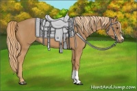 Horse Color:Red Roan 