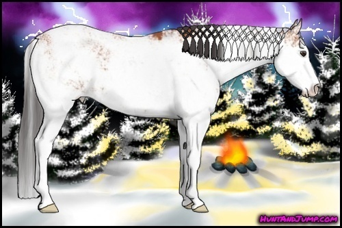 Horse Color:Bay Sabino 