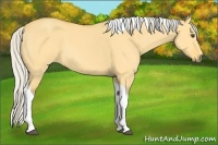 Horse Color:Silver Buckskin Dun Tobiano 