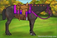 Horse Color:Brown Rabicano Brindle