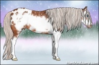 Horse Color:Silver Bay Sabino Splash Frame Blanket 