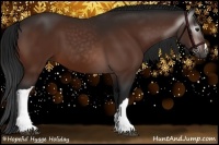 Horse Color:Gray Bay 