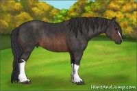 Horse Color:Brown Rabicano Brindle