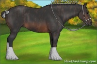 Horse Color:Brown  Brindle