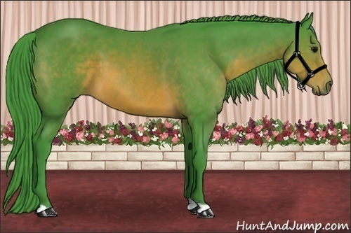 Horse Color: Watercolor Brown 