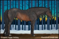 Horse Color:Brown Rabicano  Brindle