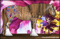 Horse Color:Gray White Spotted Black  Brindle