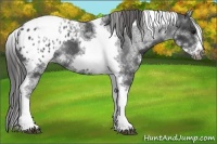 Horse Color:White Spotted Black Splash Tobiano Frame Blanket 