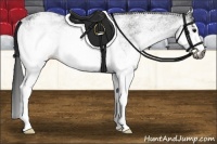 Horse Color:Gray White Spotted Black  Brindle