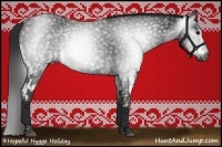 Horse Color:Gray White Spotted Black  Brindle