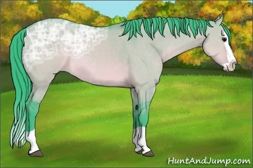 Horse Color: Watercolor Brown Ice Dun Splash 