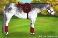 Horse Color:Gray White Spotted Black  Brindle