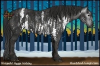 Horse Color:Gray White Spotted Black  Brindle