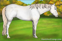 Horse Color:Classic Cream Champagne Pearl Dun Sabino Frame Rabicano