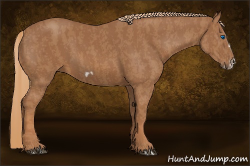 Horse Color: Chestnut Splash Frame  Brindle