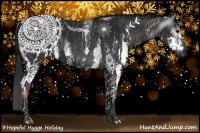 Horse Color:Gray White Spotted Black  Brindle