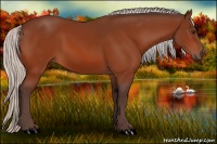 Horse Color:Silver Bay 