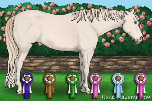 Horse Color: Perlino 