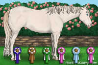 Horse Color:Perlino 