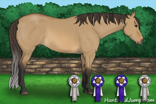 Horse Color: Buckskin Dun 