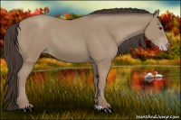 Horse Color:Classic Champagne 