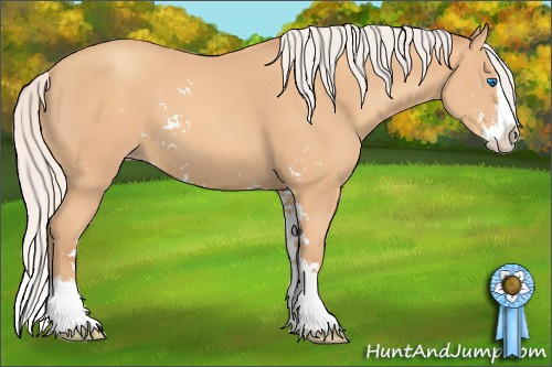 Horse Color: Silver Amber Champagne Sabino Splash 