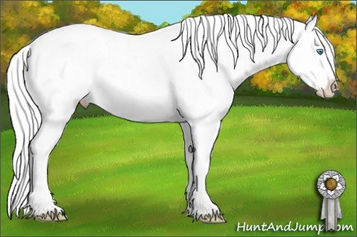Horse Color: Silver Amber Cream Champagne Pearl Dun Sabino Splash 