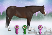 Horse Color:Gray Bay Sabino Splash