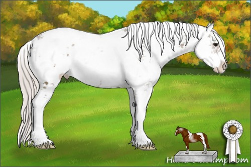 Horse Color: Silver Black Sabino 