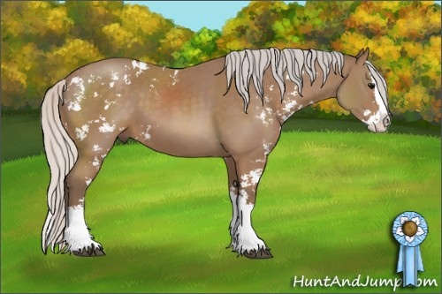 Horse Color: Silver Black Sabino Splash 