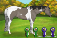 Horse Color:Gray Grullo Tobiano 