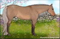 Horse Color:Silver Bay Dun 