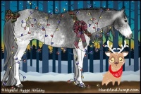 Horse Color:Gray White Spotted Black Brindle