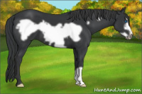 Horse Color:Black Frame 