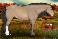 Horse Color:Sable Champagne 