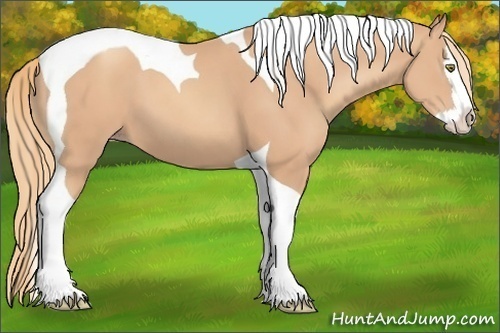 Horse Color: Gold Champagne Splash Tobiano 