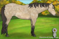 Horse Color:Buckskin Ice 