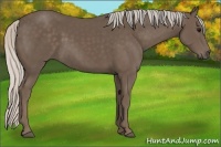 Horse Color:Silver Black 