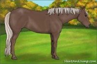 Horse Color:Silver Black 