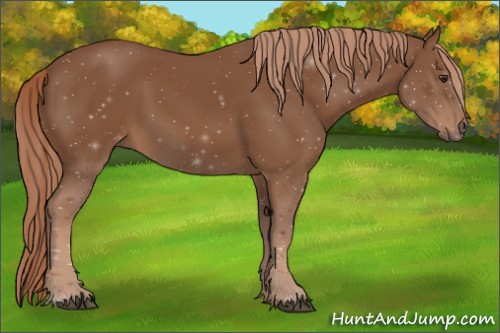 Horse Color: Chestnut 