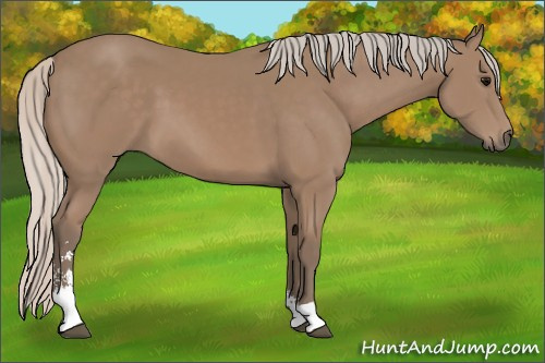 Horse Color: Silver Black Sabino 