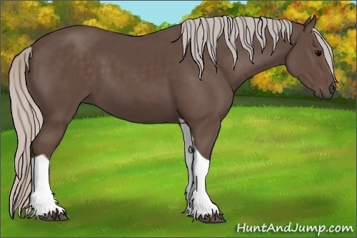 Horse Color: Silver Black Tobiano 