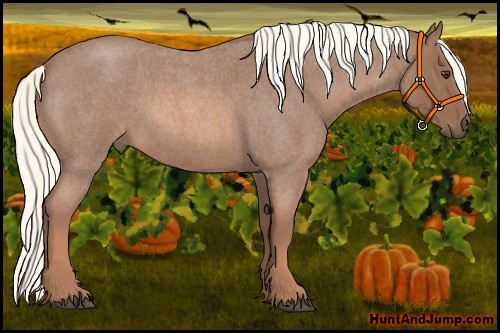 Horse Color: Red Roan Mushroom 