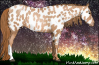 Horse Color:Liver Chestnut Pearl Near Leopard Rabicano 