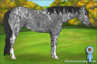 Horse Color:Black Ice 