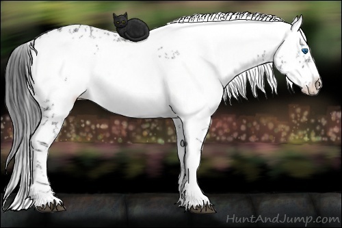 Horse Color: Black Frame 