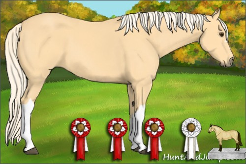 Horse Color: Palomino 