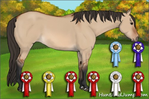 Horse Color: Bay Dun 