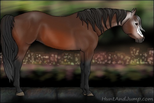 Horse Color:Gray Bay