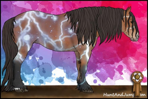 Horse Color: Bay 